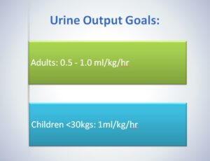 Urine Output Goals
